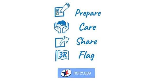 https://norecopa.no/prepare-care-share-flag